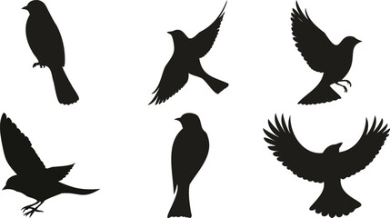 Collection of bird silhouettes in various flying and perched poses