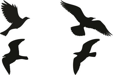 Obraz premium Flying bird silhouettes set