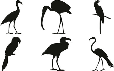 Obraz premium Exotic and wading bird silhouettes collection