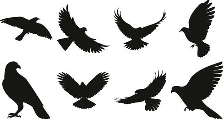 Obraz premium Collection of bird silhouettes in flight and perched