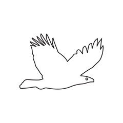 Naklejka premium Hawk line icon