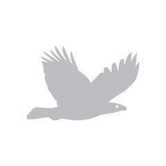 Hawk icon
