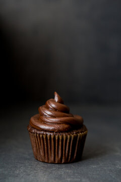 Chocolate cupcake with fudge frosting 