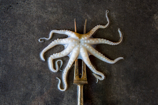 Octopus with a meat fork 