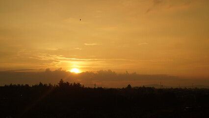 Golden hour sunset with silhouetted trees and a solitary bird in the sky