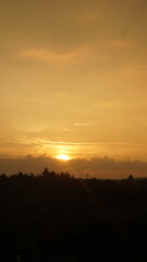 Golden Sunset Silhouetted Trees