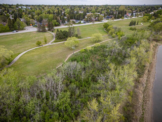 View of a park with a path and trees