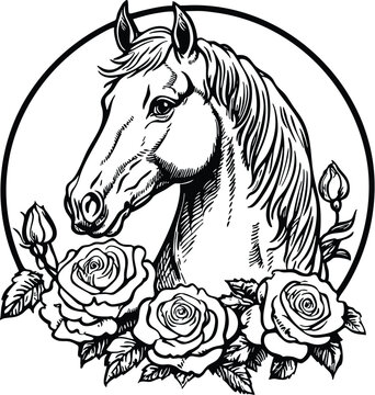 horse vector illustration