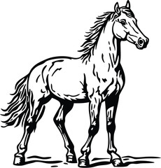 Obraz premium horse vector illustration