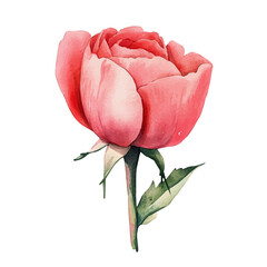 Wall Art, watercolor painting vector, high quality, isolated on a white background.