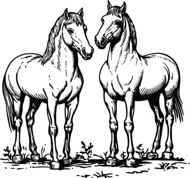 horse vector illustration