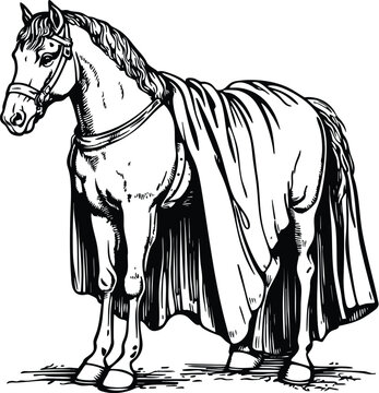 horse vector illustration