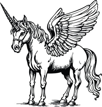 horse vector illustration