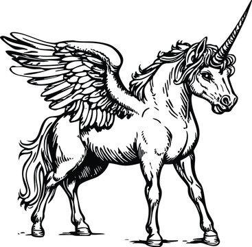 horse vector illustration
