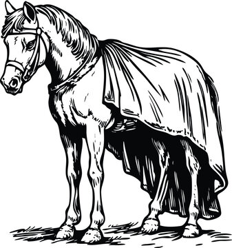 horse vector illustration