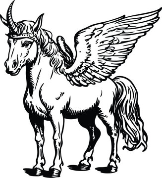 horse vector illustration