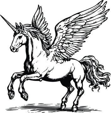 horse vector illustration
