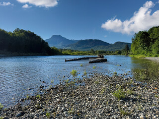 Skagit river in Washington state in late spring season with large tree logs