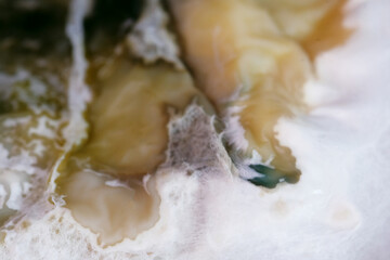 Macro texture of spoiled corn pudding kept in fridge more than month