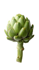 Fototapeta premium Whole Fresh Artichoke with Long Stem on White Background, Top View, Natural Green Texture