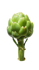 Fototapeta premium Single Raw Artichoke with Textured Stem on White Background, Top Down Closeup