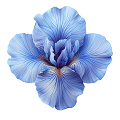 Exquisite Blue Iris Bloom: A Captivating Floral Portrait with detailed petal veins