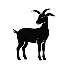 goat on white background