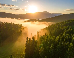 Sunrise over misty mountain forest (1)