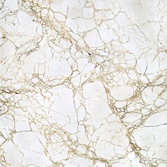 Obraz premium Elegant White Marble Texture