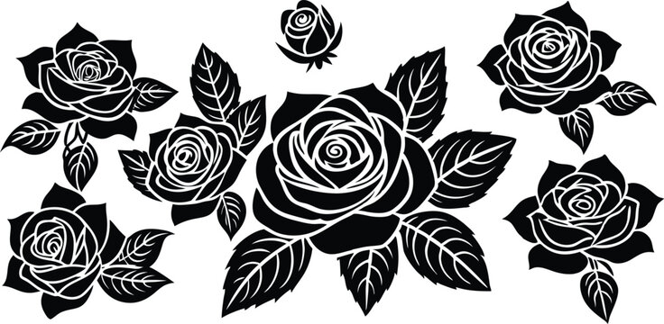 Elegant Black and White Rose Illustration A Stunning Floral Design