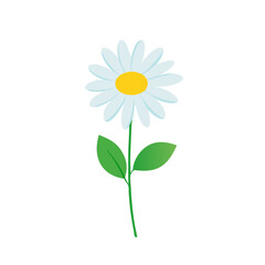 Flat Daisy Flower with Stem &ndash; Minimal Style