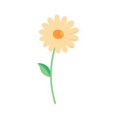 Flat Daisy Flower with Stem – Minimal Style