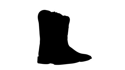 Brown Boots