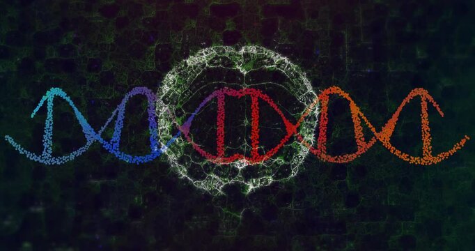 Upon white web emerging around DNA helix branches pulsing outward then retracting showing data flow
