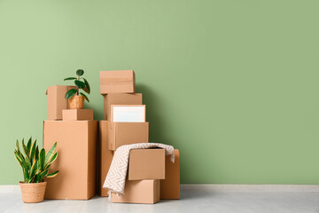 Interior of living room with houseplants and many parcels near green wall