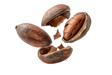 PNG Whole and cracked pecans with shells displaying textured brown surfaces