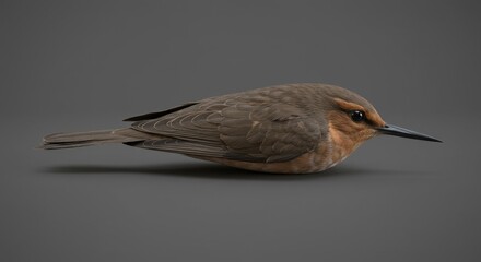 Detailed Avian Fauna Bird in Brown Plumage Wildlife Outdoors