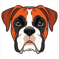 Boxer dog isolated on white background. Playful pet portrait vector illustration.