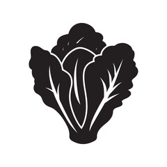 Vector illustration of fresh lettuce salad vegetable icon design art silhouette