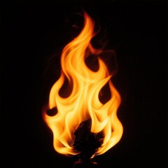 Fototapeta premium burning fire on a dark background