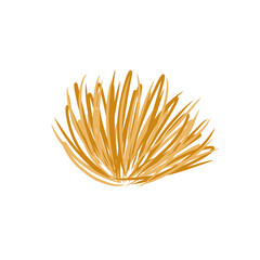 tumbleweed grass vector illustration