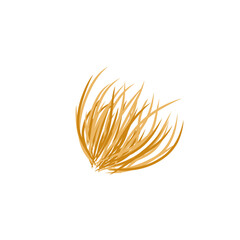 tumbleweed grass vector illustration