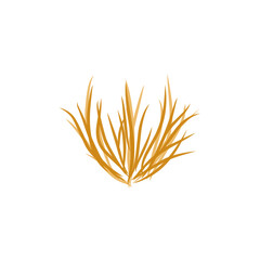 tumbleweed grass vector illustration