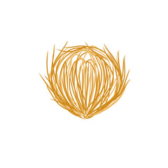 tumbleweed grass vector illustration