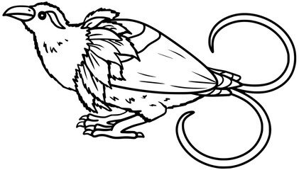 Magnificent Bird Of Paradise Vector Outline Line Art Drawing