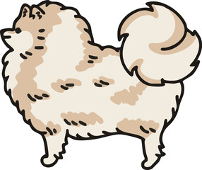 横から見た可愛いポメラニアン(クリーム)のイラスト