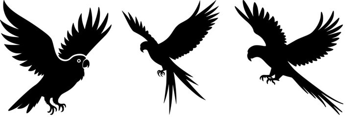 Obraz premium Flying Parrot Silhouettes – Black Tropical Bird Vector Illustrations in Aggressive Flight Poses – Exotic Wildlife Clipart for Nature, Jungle, and Bird-Themed Design Projects 