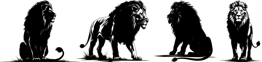 Fototapeta premium Majestic Lion Silhouettes – African Wildlife Vector Clipart of Male Lions in Sitting and Walking Poses – Big Cat Animal Illustrations for Safari, Logo, and Tattoo Art 