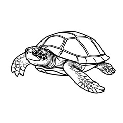 A turtle is shown in a black and white drawing. 