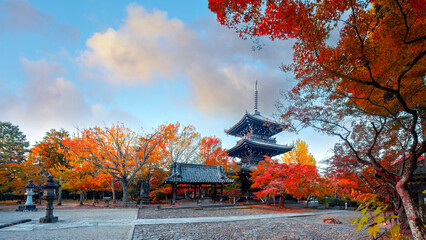 Shinnyodo or Shinshogokurakuji temple with beautiful autumn scenario in Kyoto, Japan